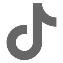 TikTok Icon