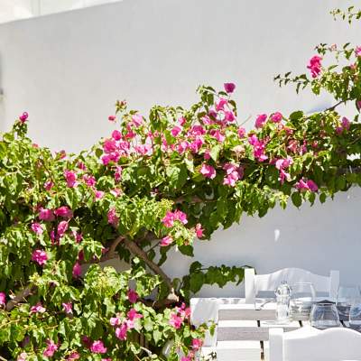 argo taverna restaurant fira santorini greece 21